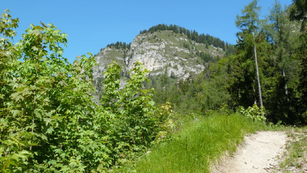 P1020596