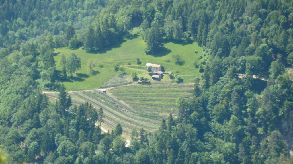 P1020604