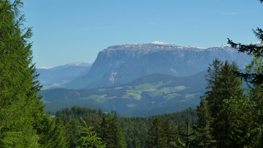 P1020616