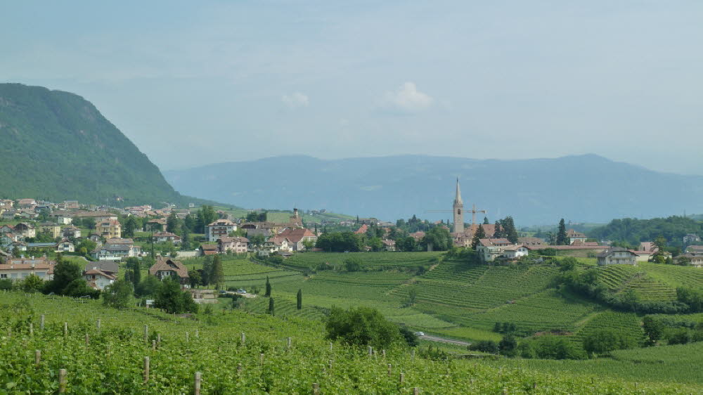 P1020638