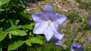 P1020640