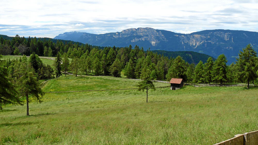 P1020648