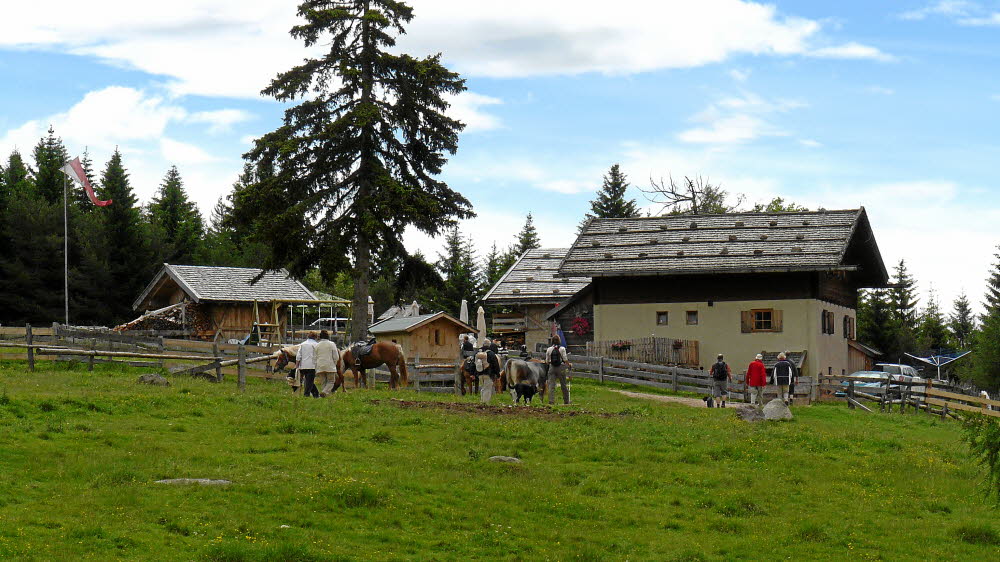 P1020656