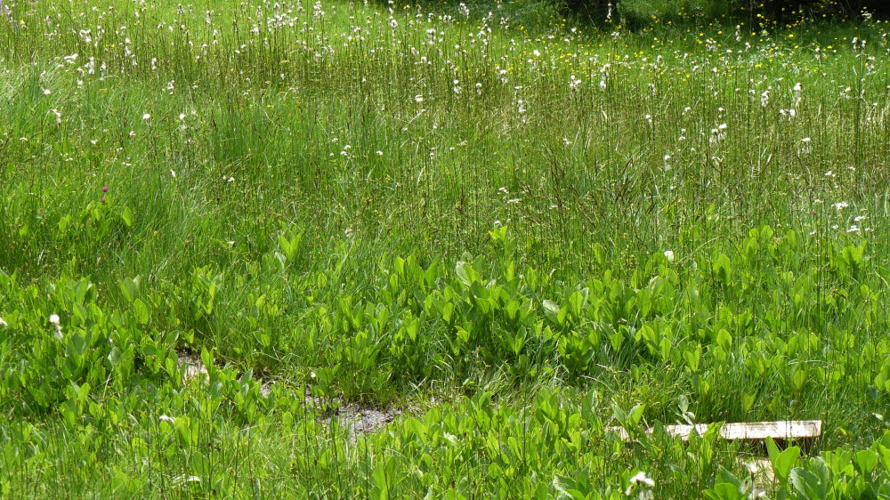 P1020664