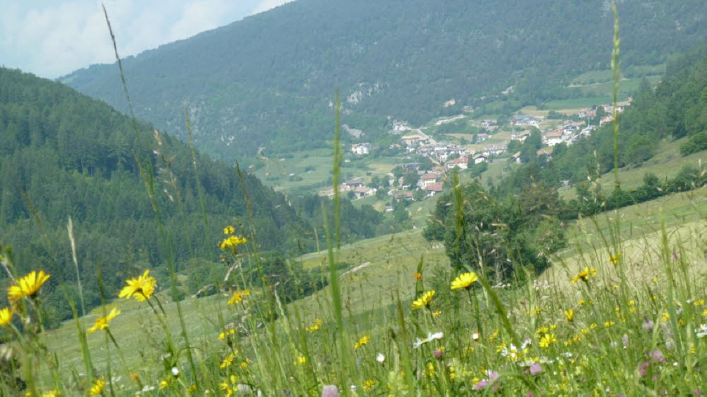 P1020670