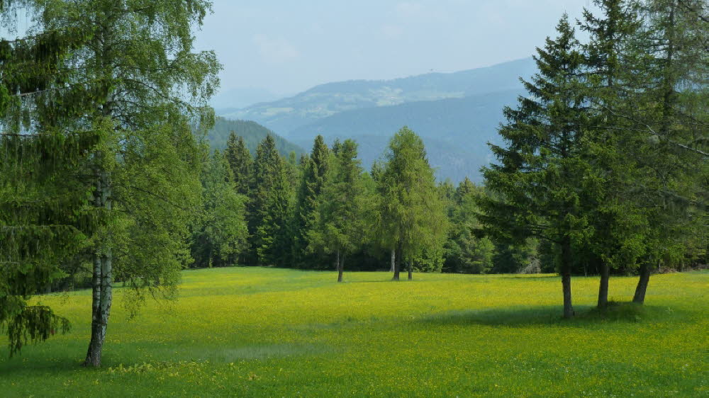 P1020681
