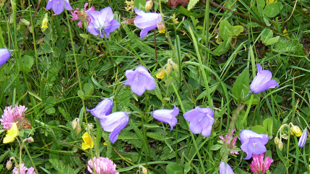 P1020701