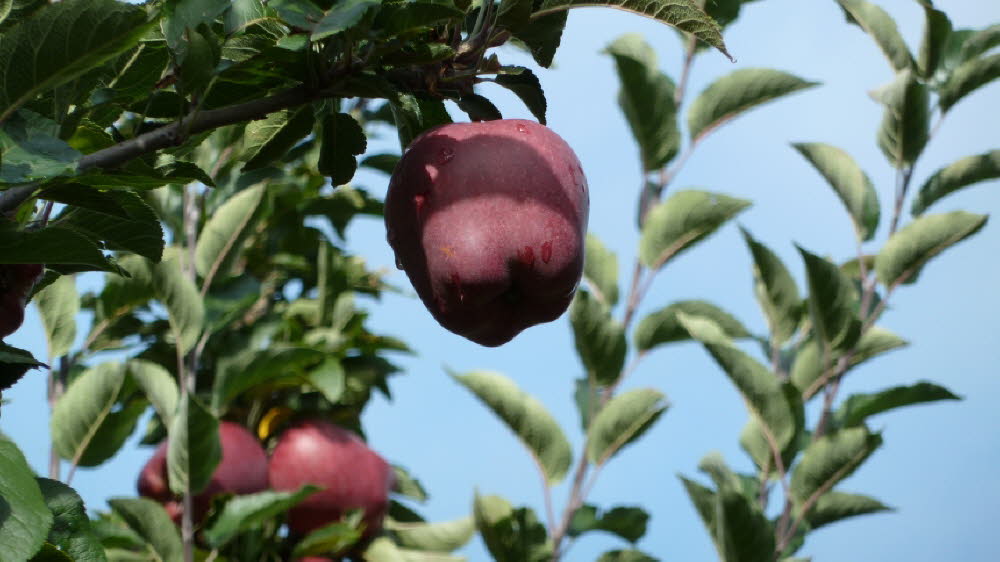 P1020736