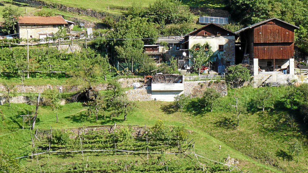 P1020848