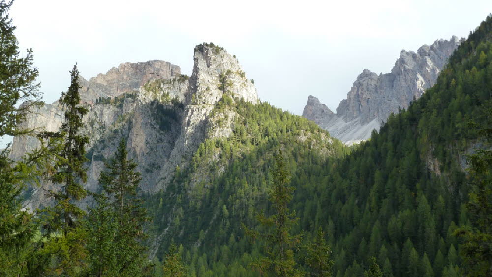 P1020852