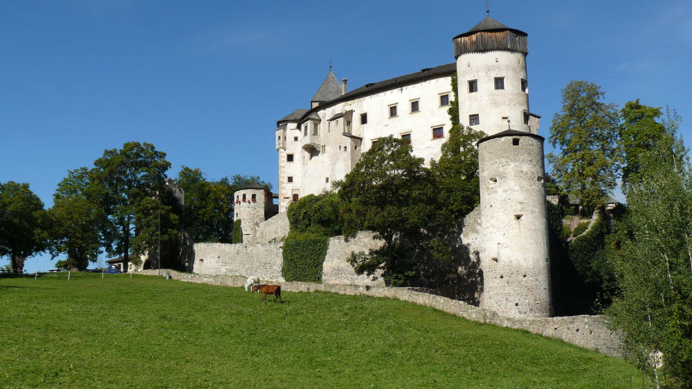 P1020853