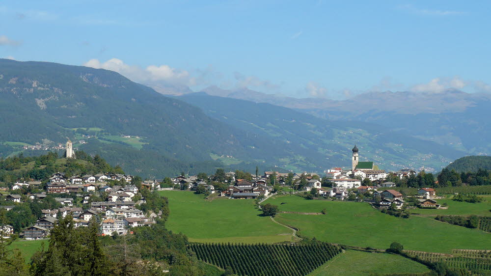 P1020856