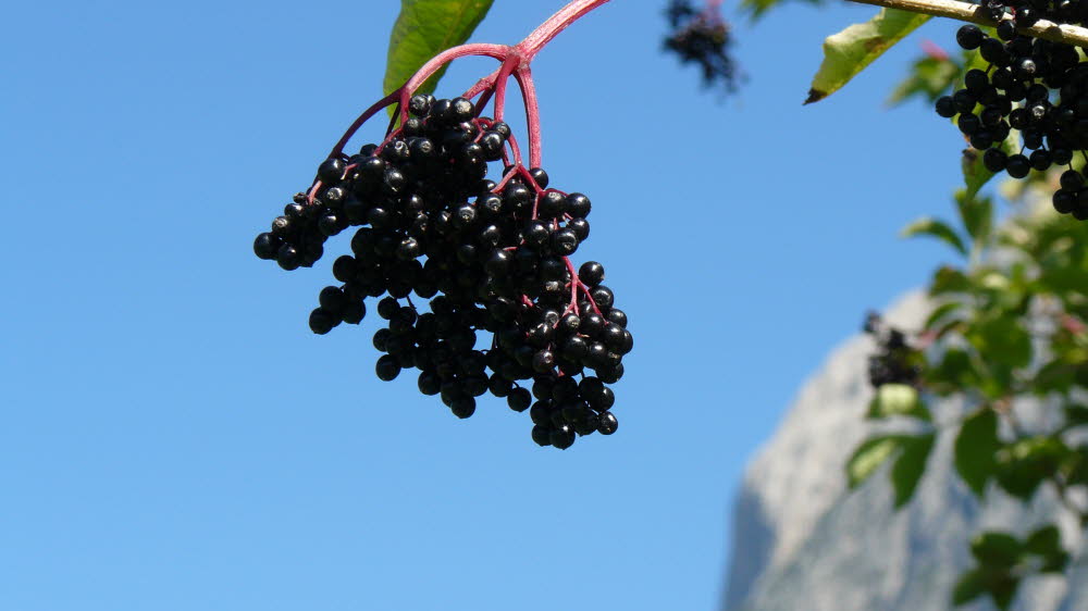 P1020870