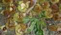 P1020895