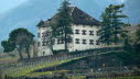 P1030052
