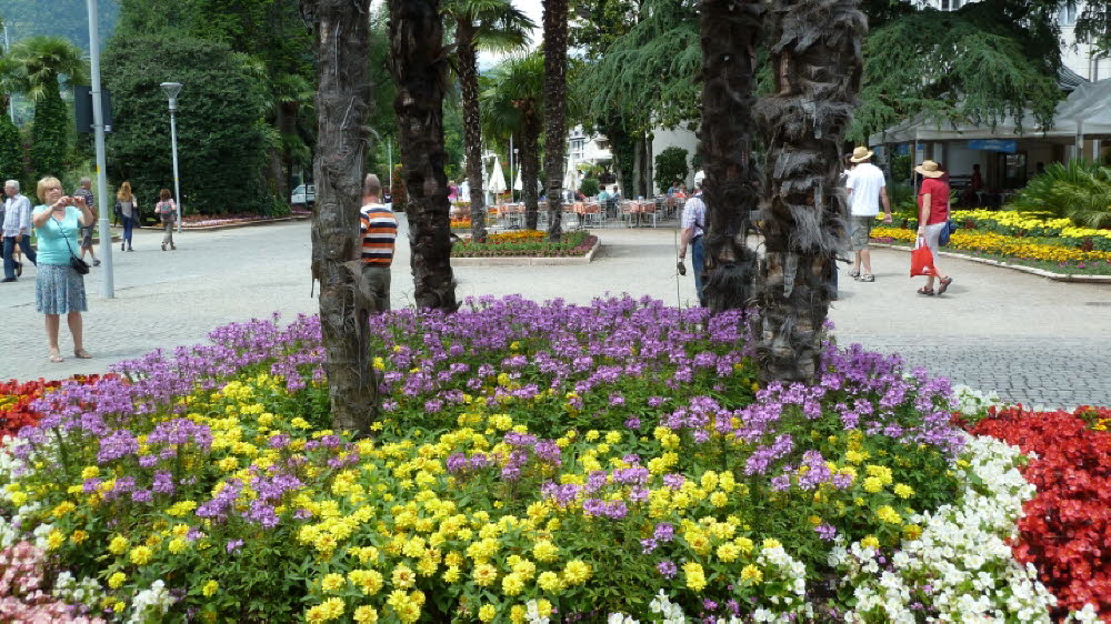 P1030312