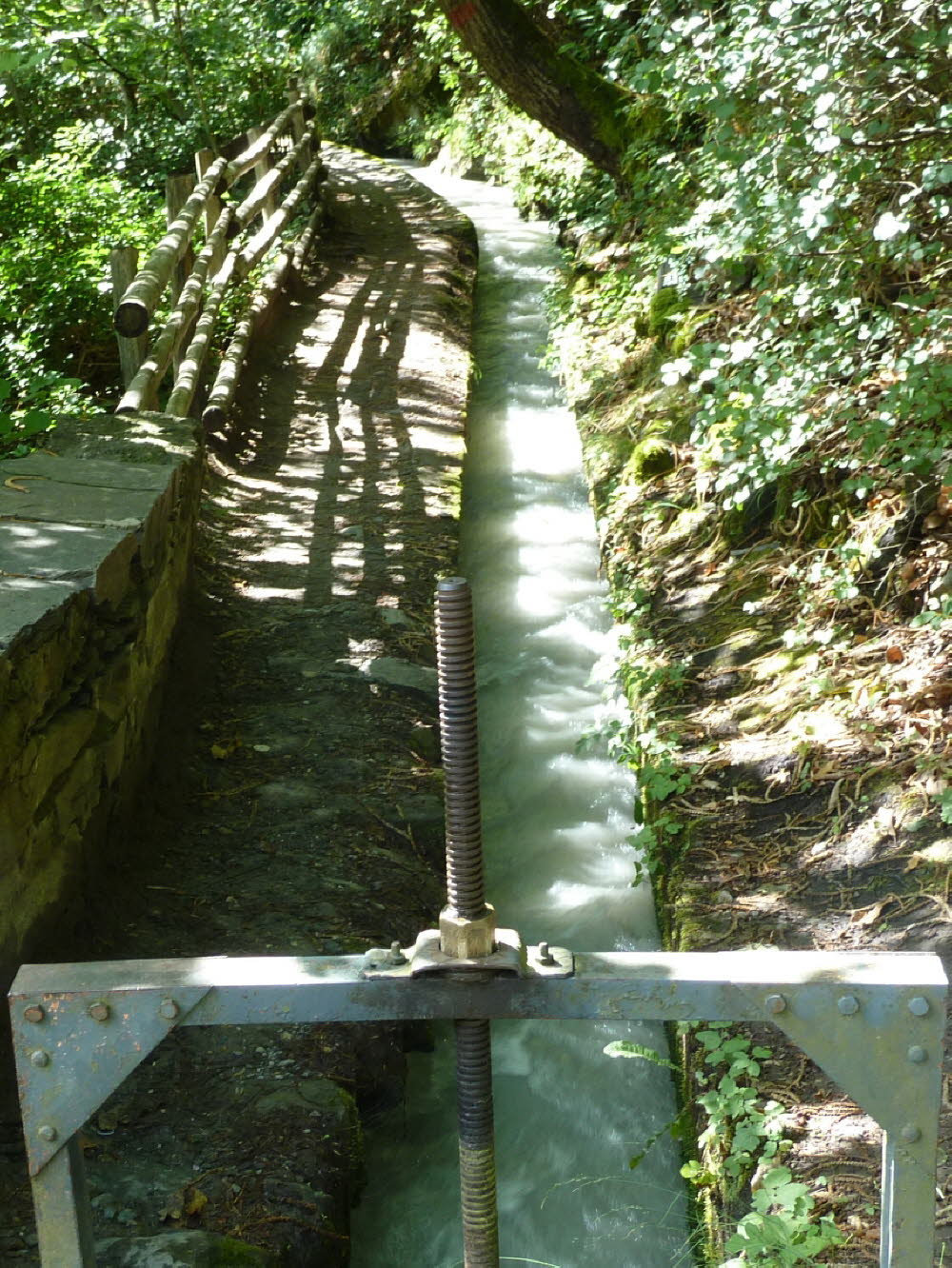 P1030424