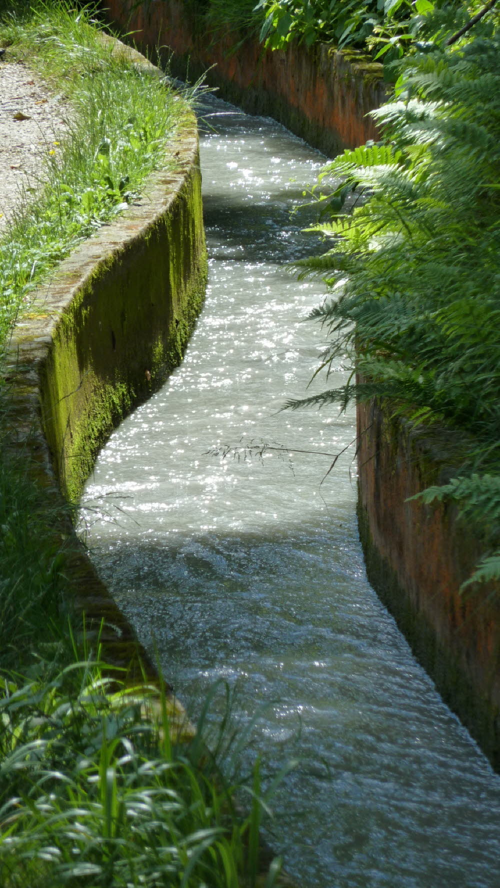 P1030445