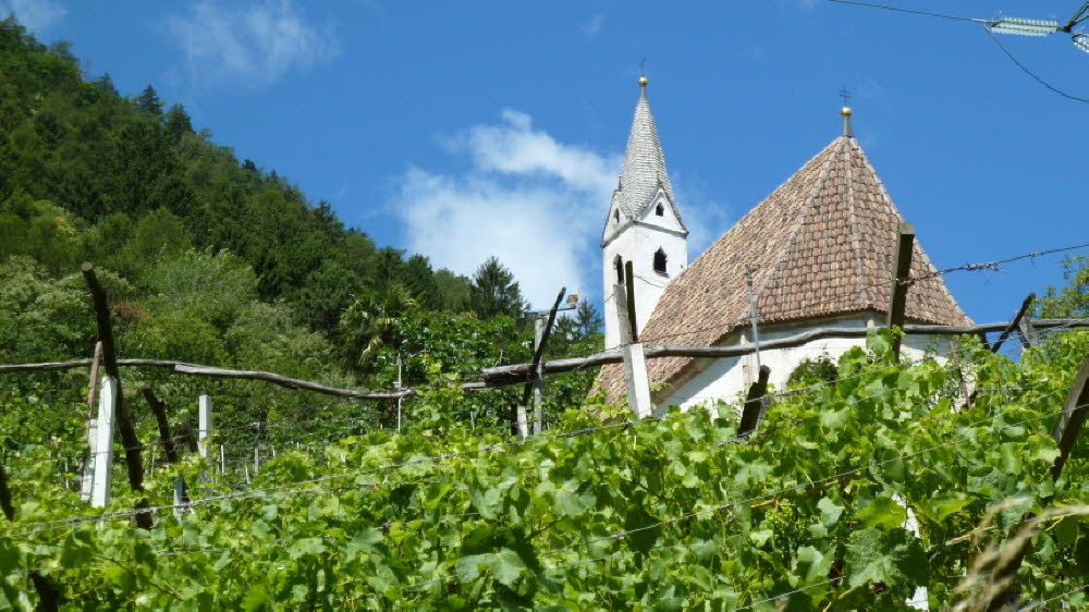 P1030454