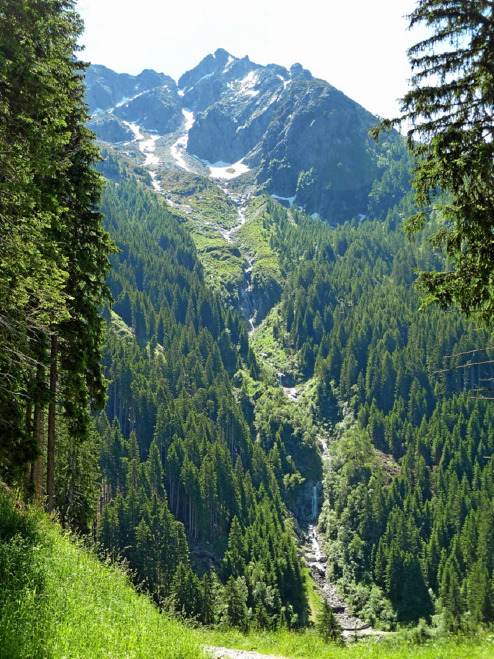 P1030554