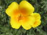 P6111434