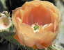 P6111438