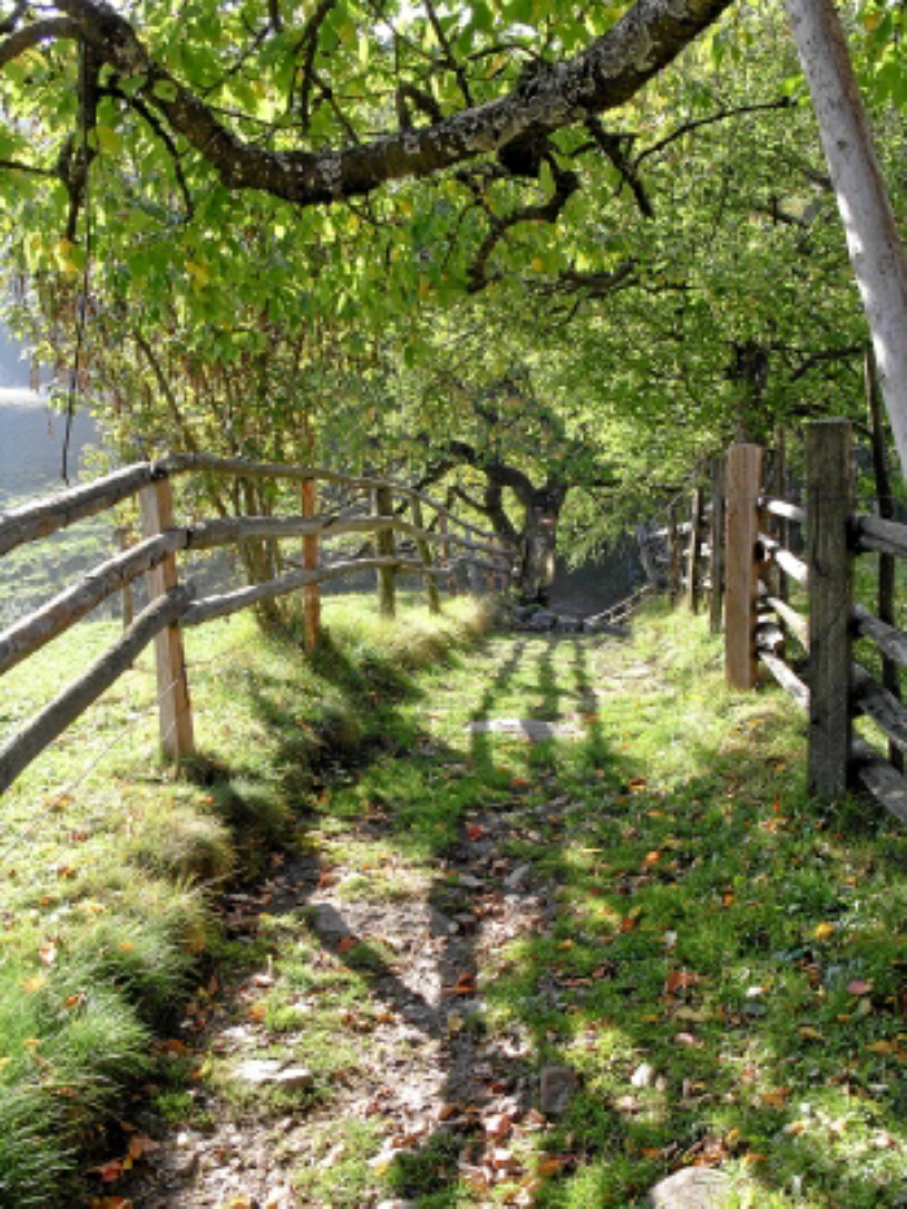 2004
