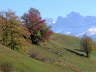 2004
