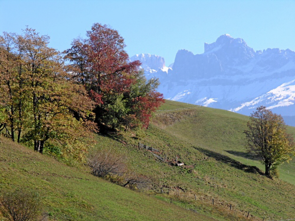 2004