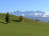 2004