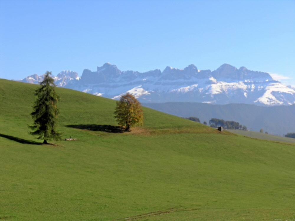 2004