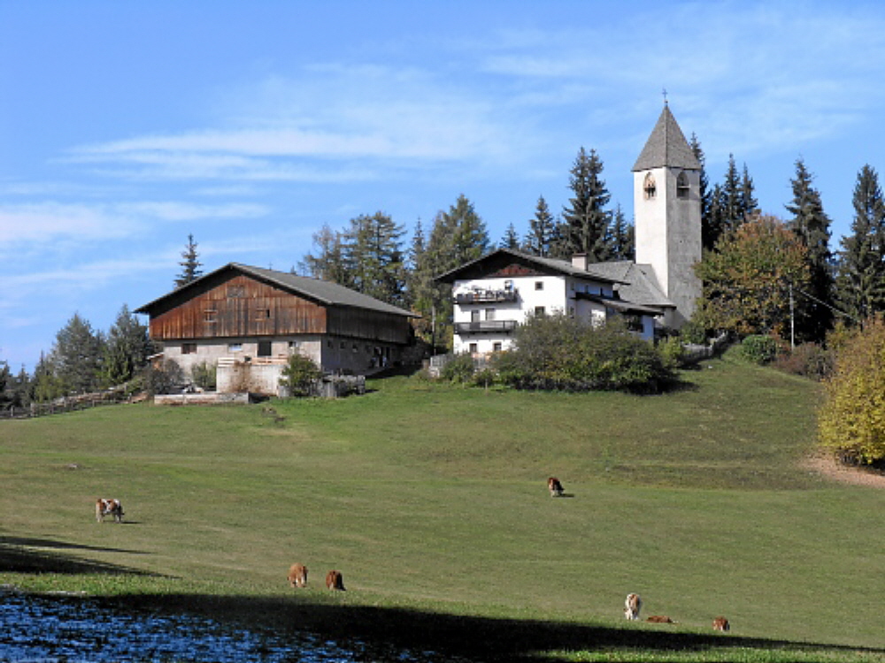 2004