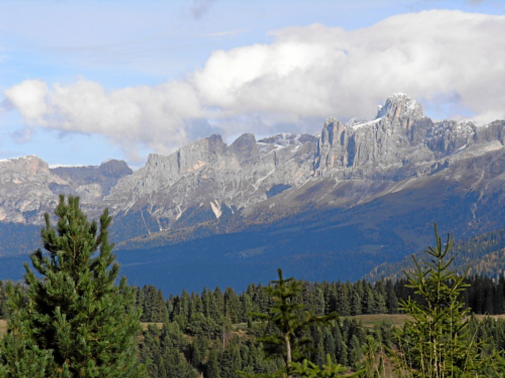 2004