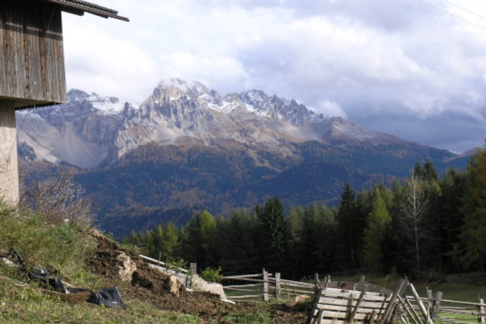2004