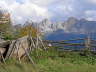 2004