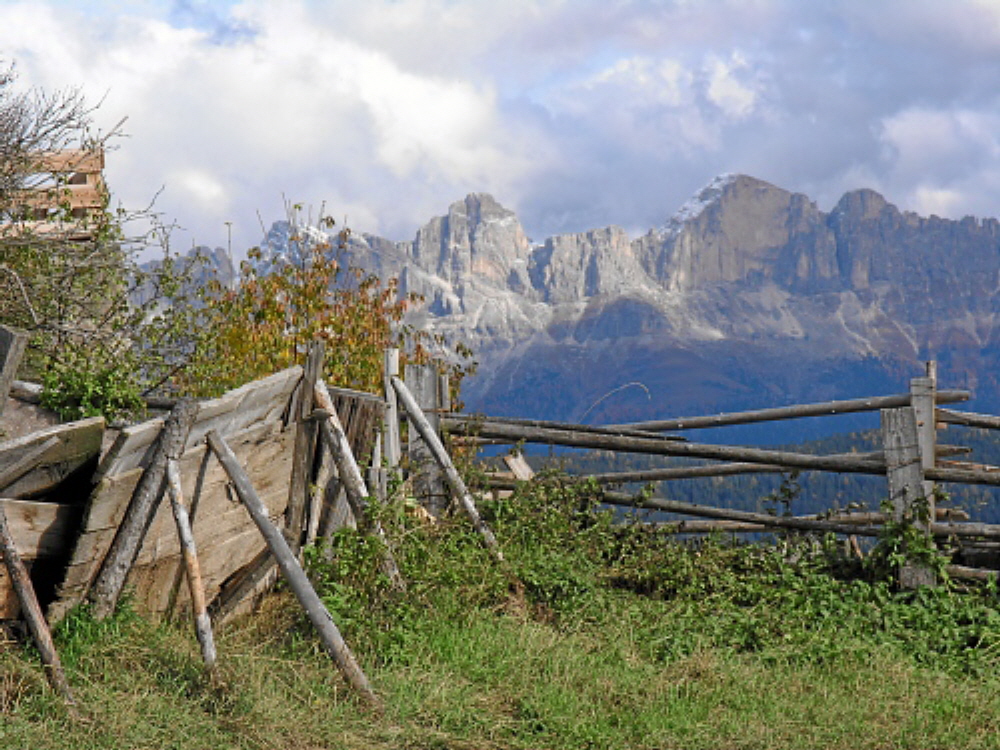 2004