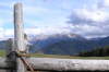 2004
