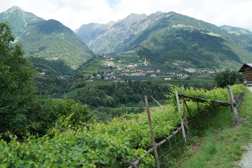 Tirol_2015_06-06