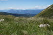 Tirol_2015_06-108