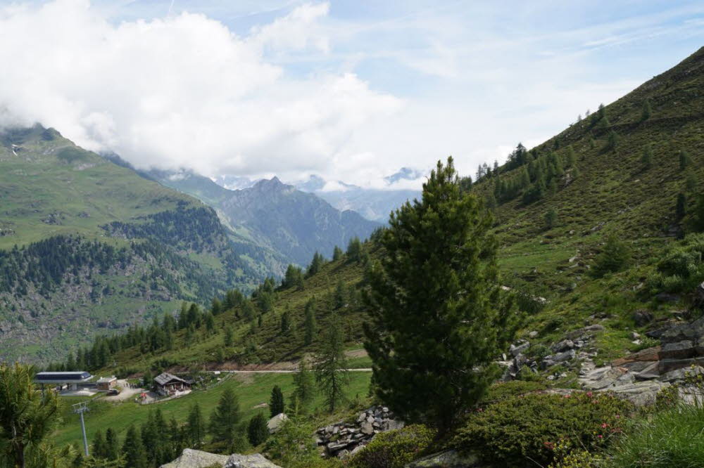 Tirol_2015_06-129