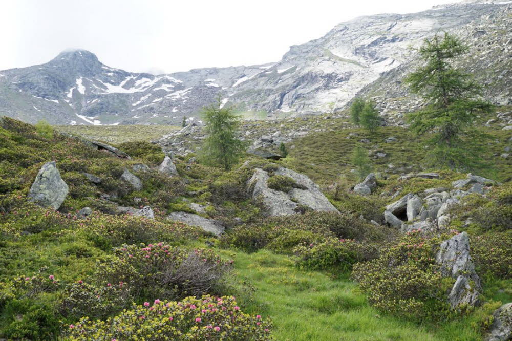 Tirol_2015_06-131