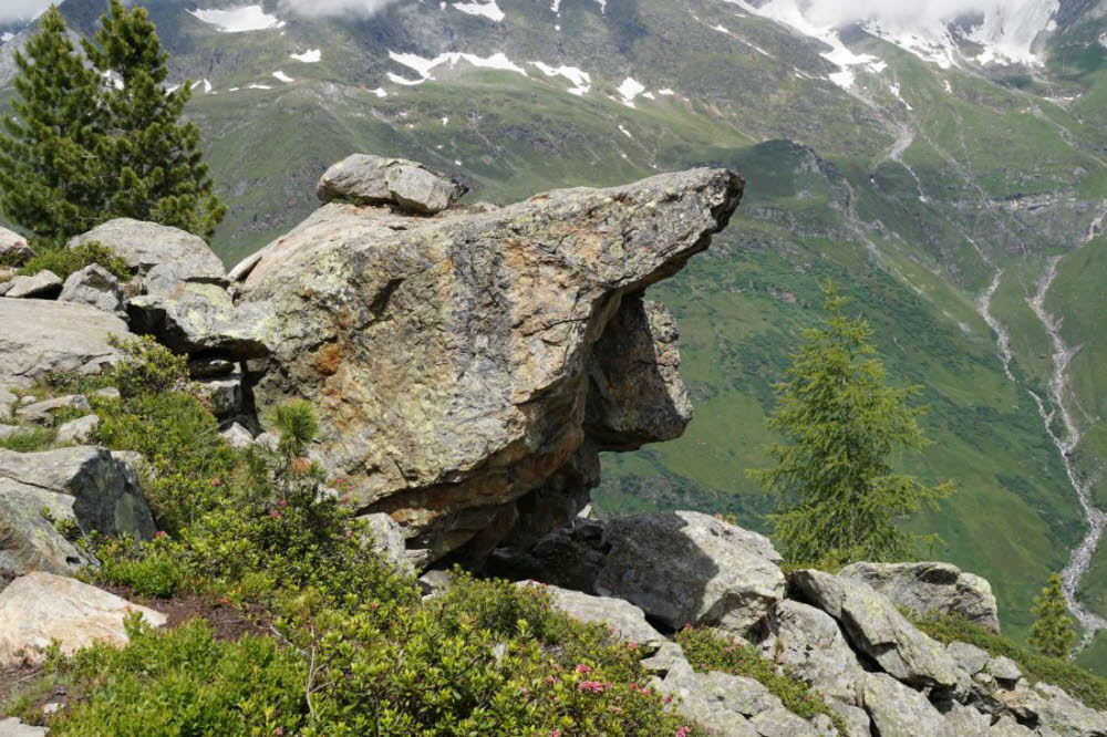 Tirol_2015_06-133
