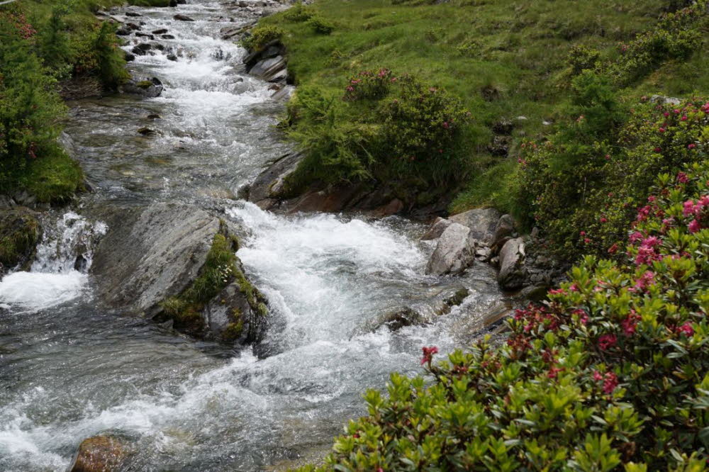 Tirol_2015_06-135