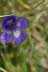 Tirol_2015_06-136