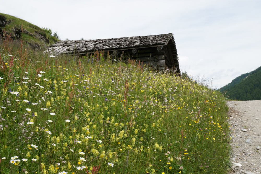 Tirol_2015_06-142