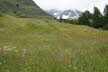 Tirol_2015_06-143
