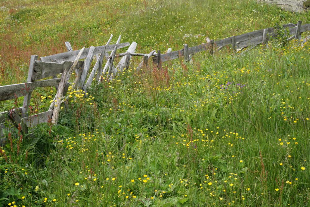 Tirol_2015_06-144