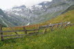 Tirol_2015_06-145