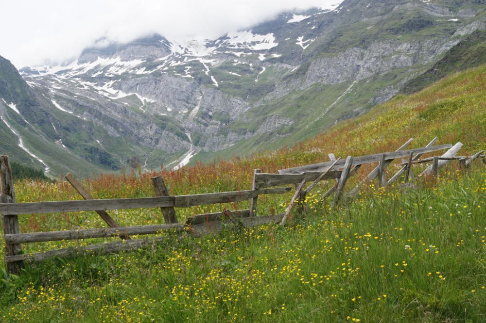 Tirol_2015_06-145