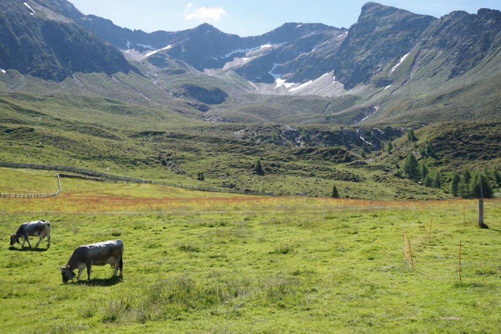 Tirol_2015_06-150